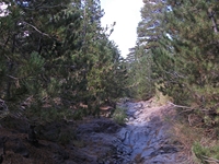 rrente Quarantore-20110911 097